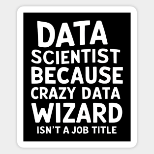 Data Scientist: Because Crazy Data Wizard Isn't a Job Title Magnet